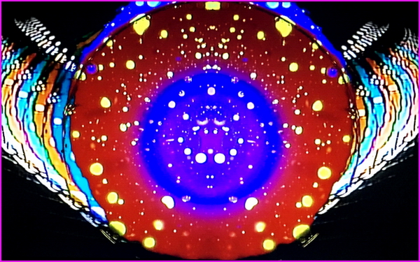 dwavehed visuals