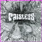 The Paisleys - Cosmic Mind At Play